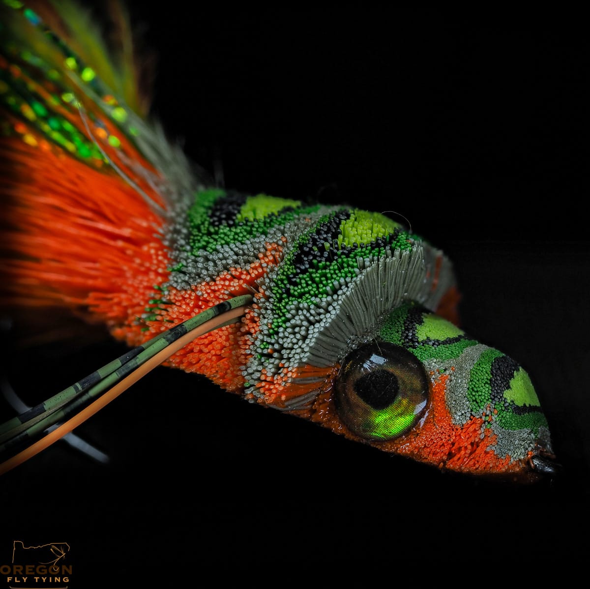 Garrett Lesko - Divers