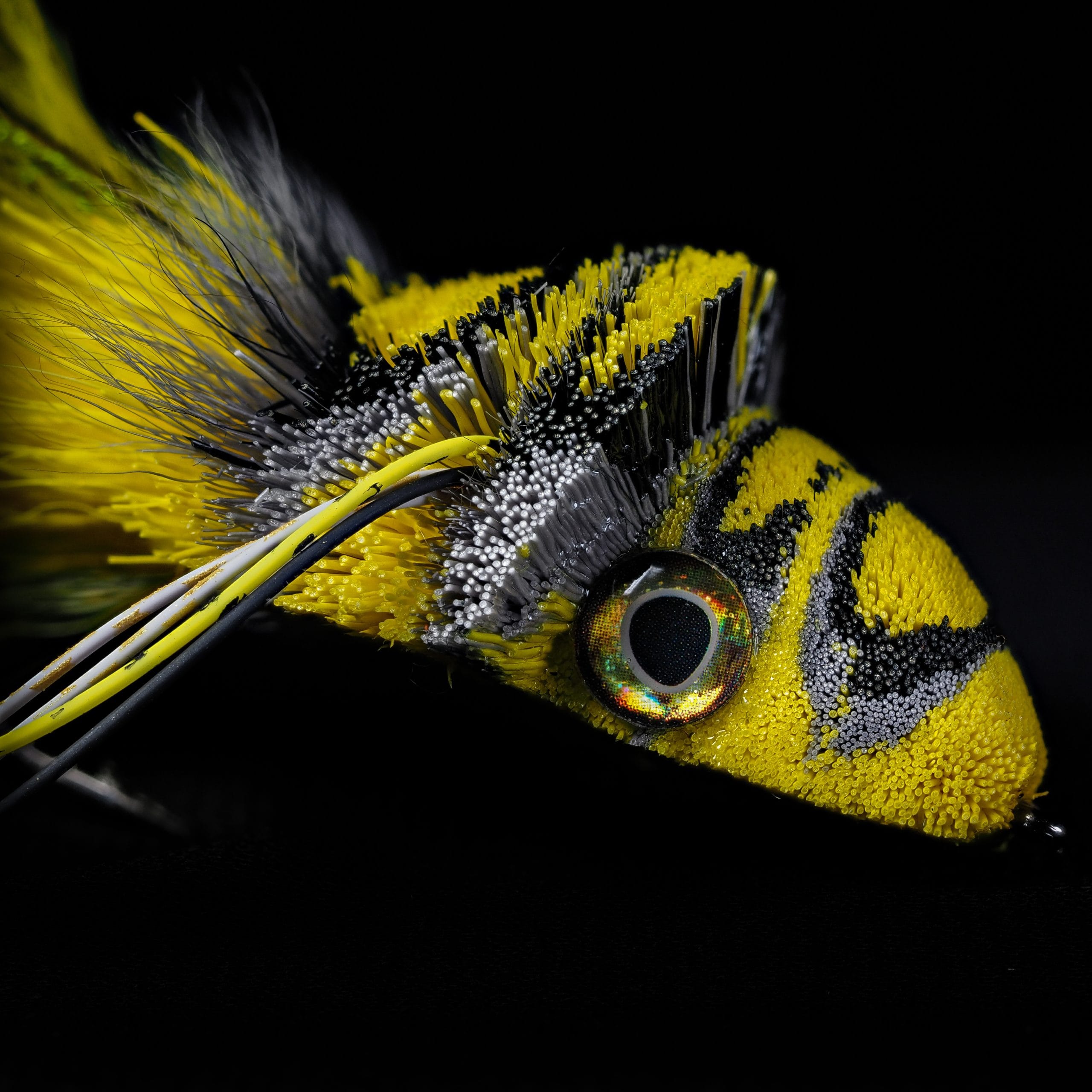 Garrett Lesko - Divers