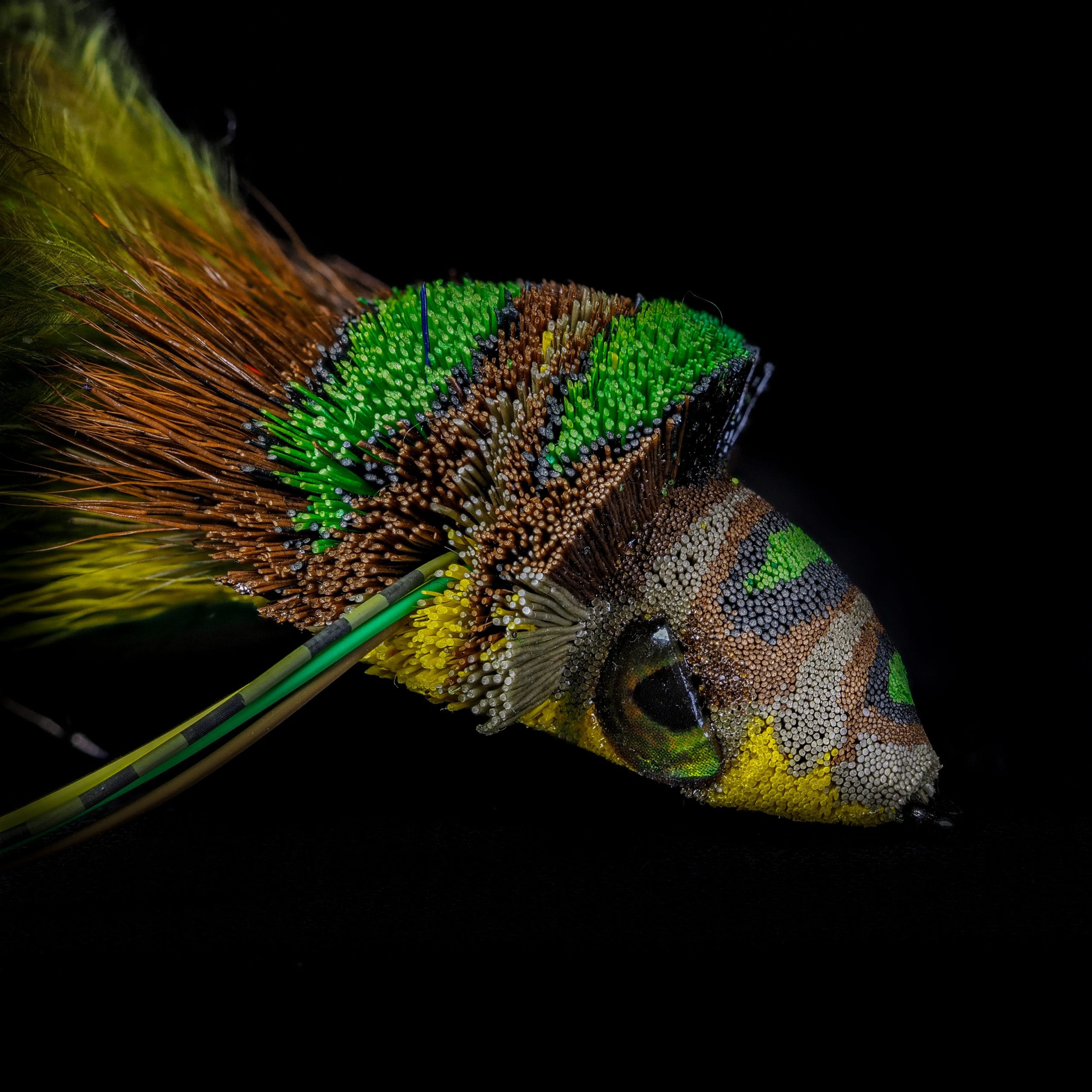 Garrett Lesko - Divers