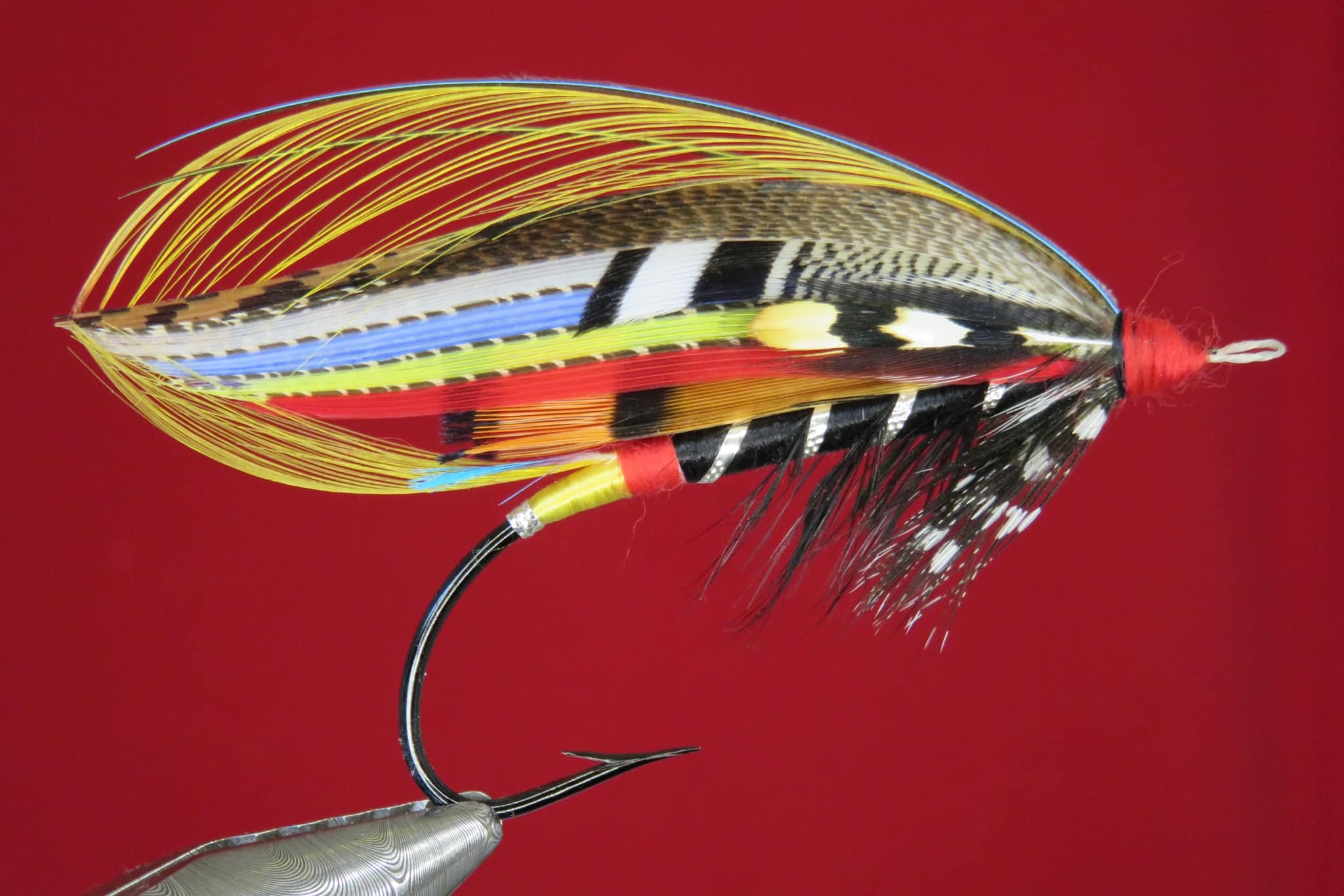 Brian Williams - Black - May 2024