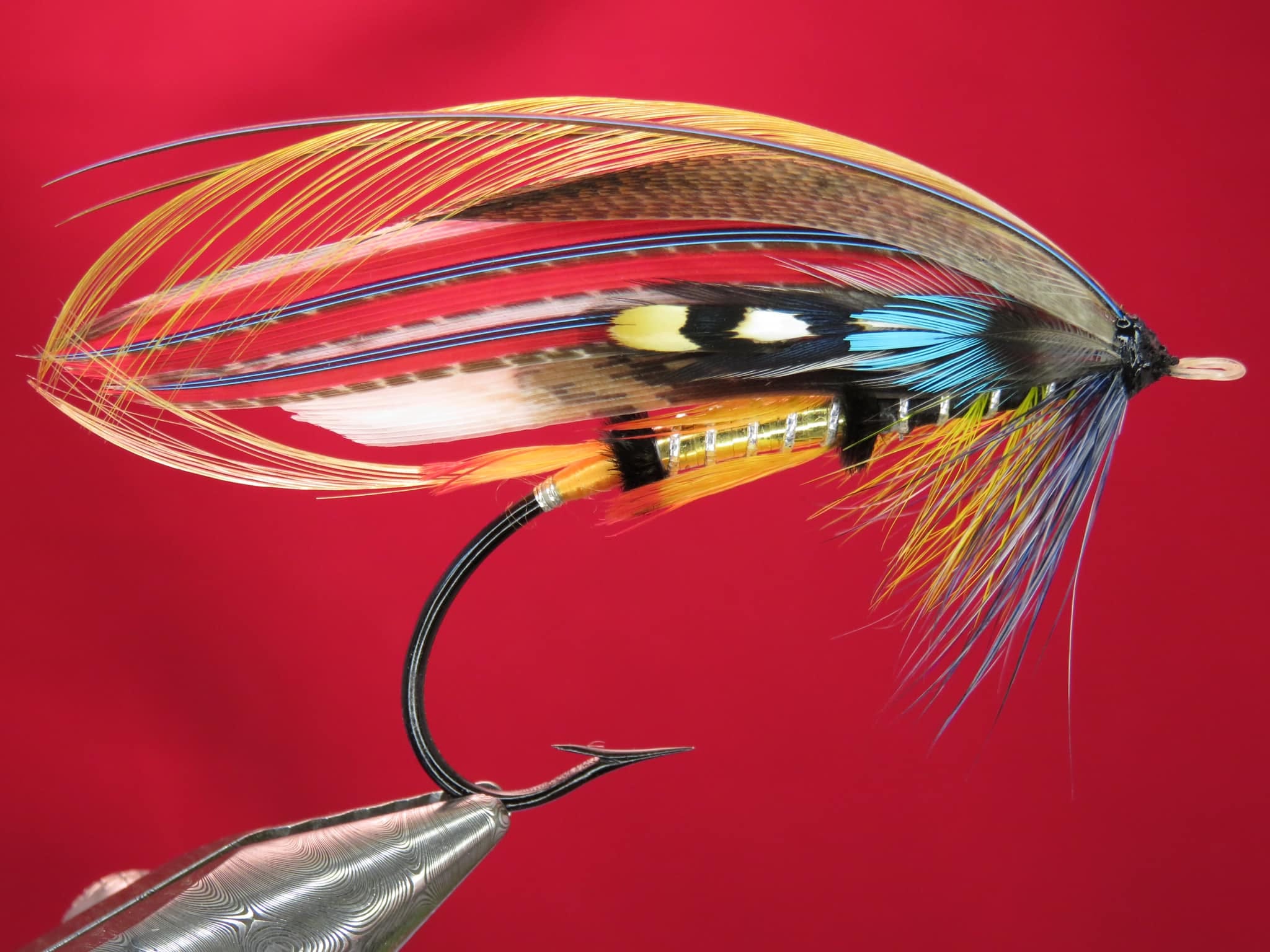 Brian Williams - Black and Gold - September 2024