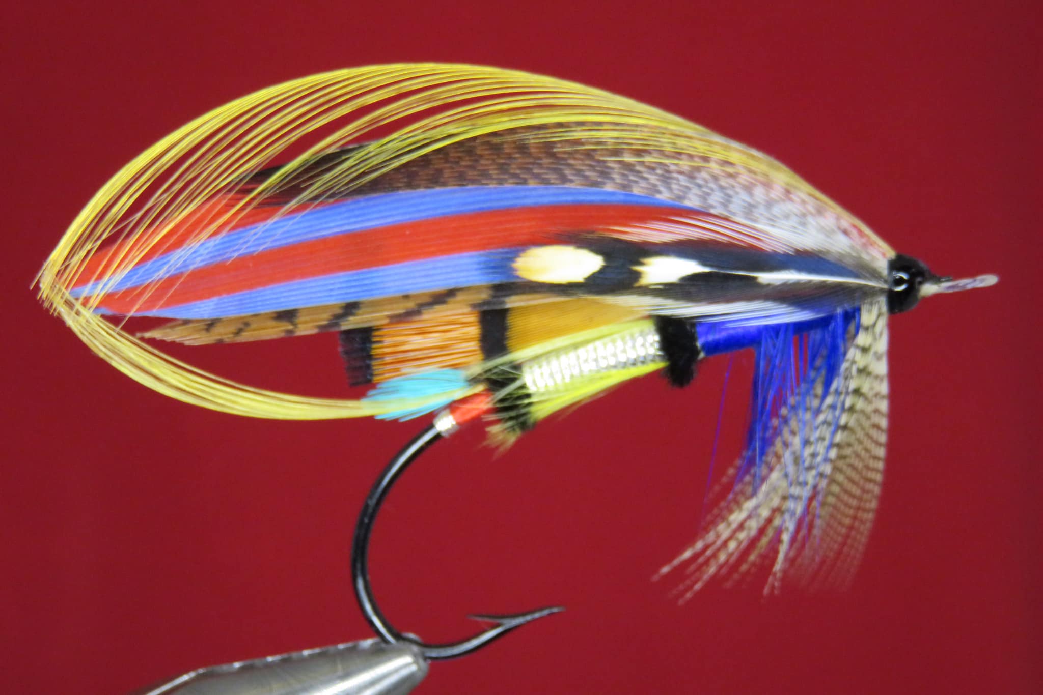 Brian Williams - Blue Baron - February 2024