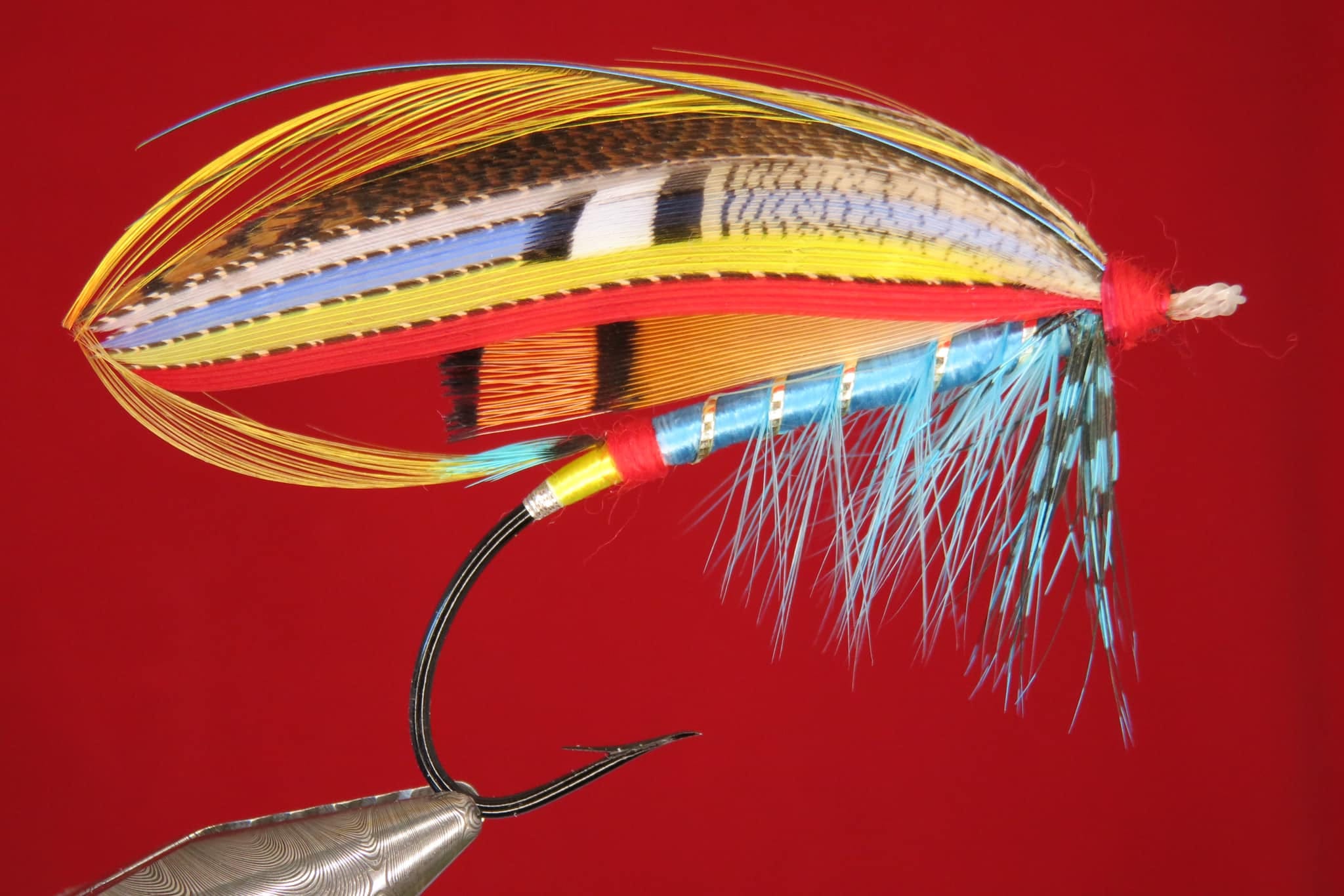 Brian Williams - Blue - May 2024