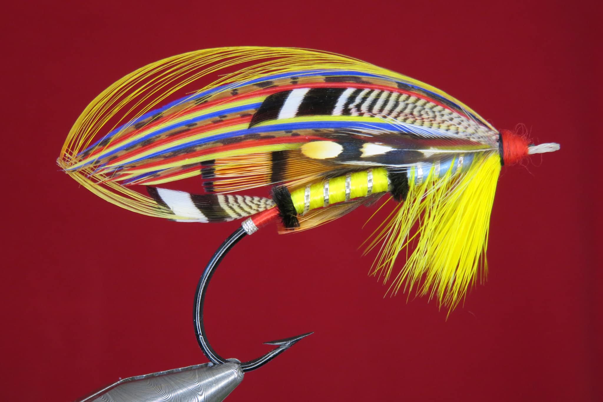 Brian Williams - Carnegie - February 2024