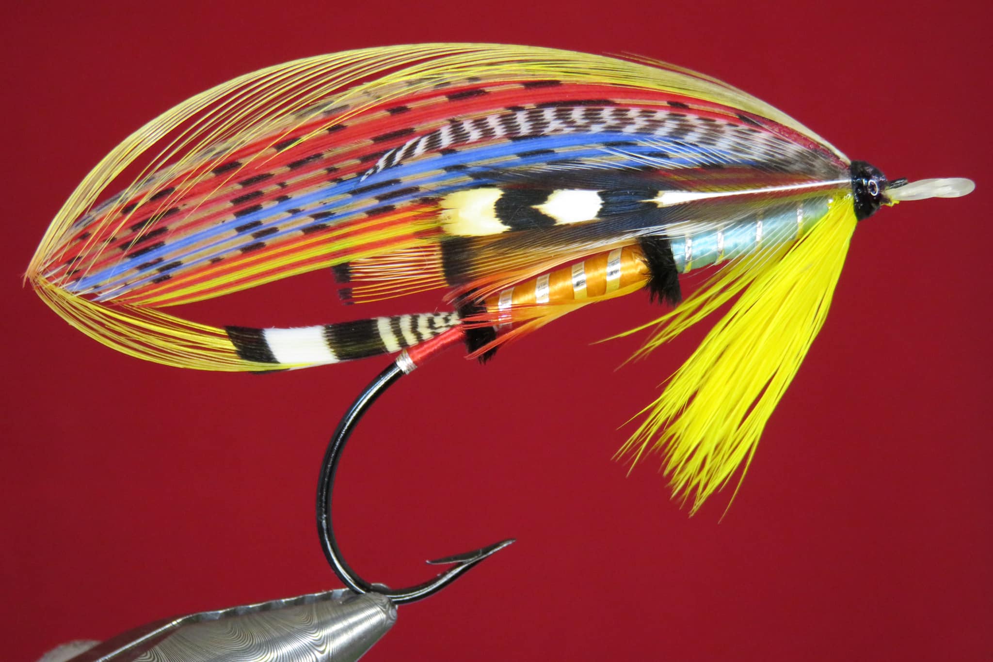 Brian Williams - Carnegie - May 2024