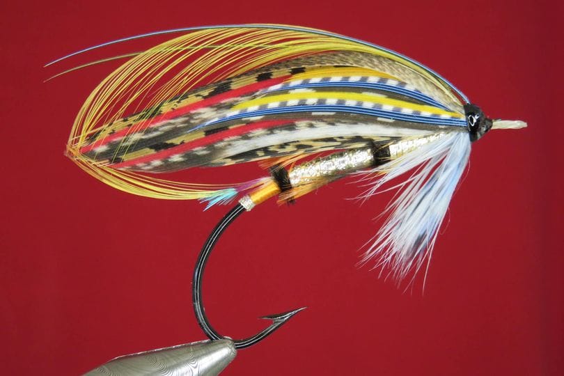 Brian Williams - Dawson - January 2024