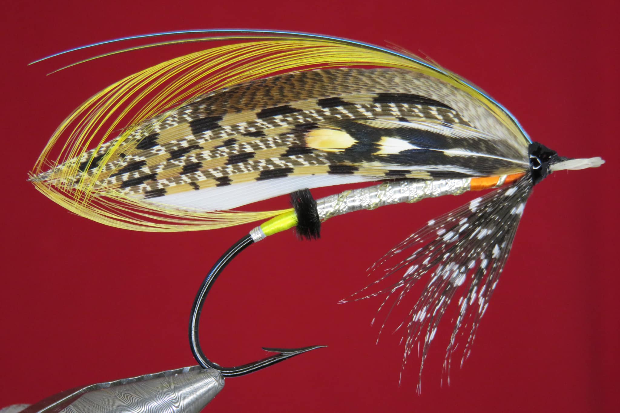 Brian Williams - Dusty Miller - March 2024