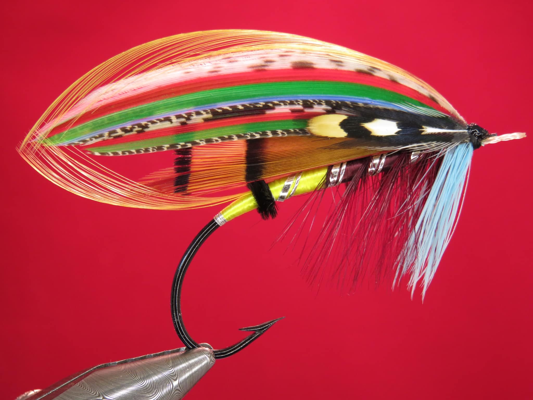 Brian Williams - Gordon - September 2024