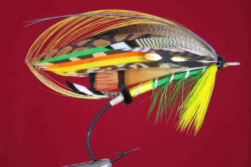 Brian Williams - Green Highlander - February 2024