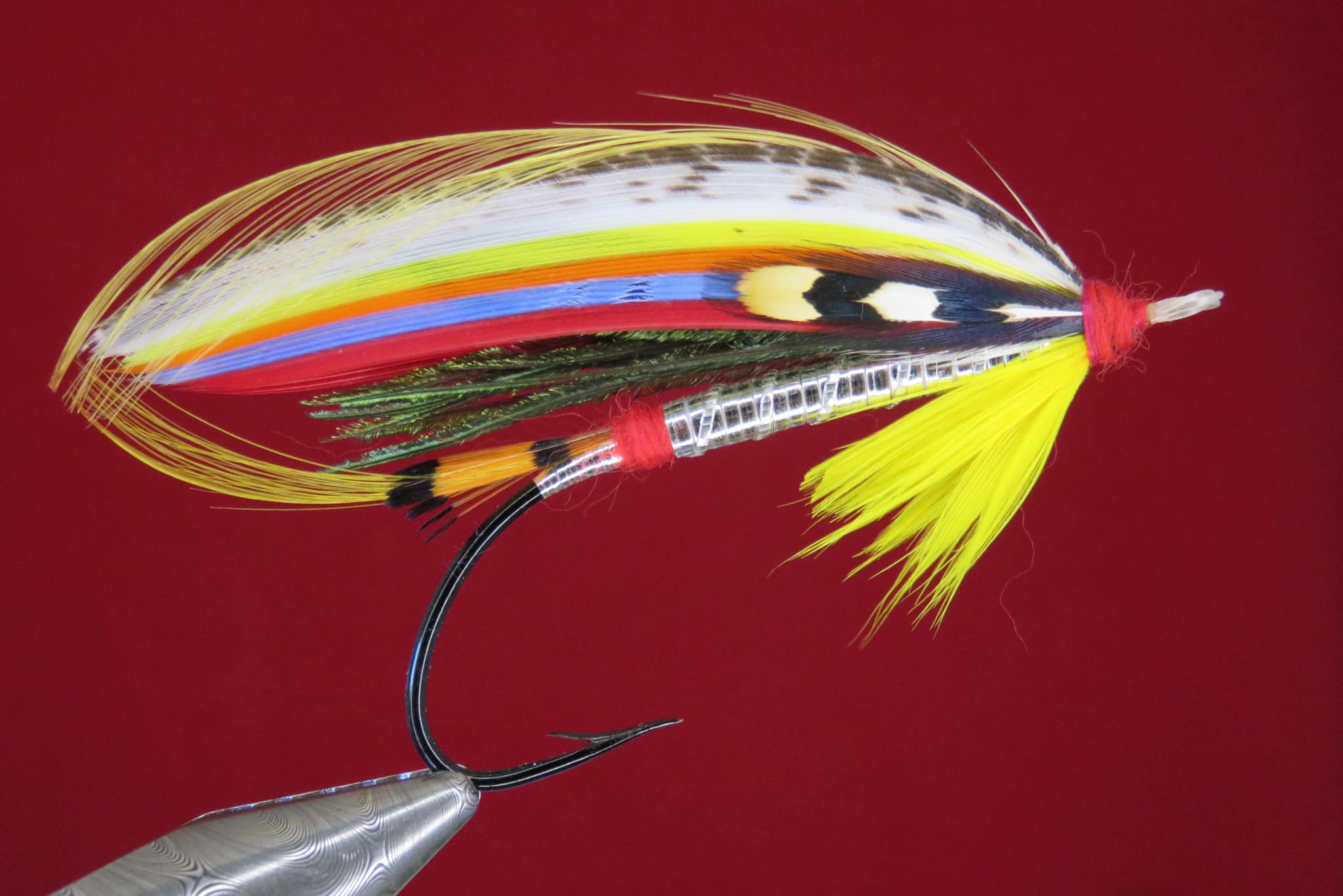 Brian Williams - Helmsdale - May 2024