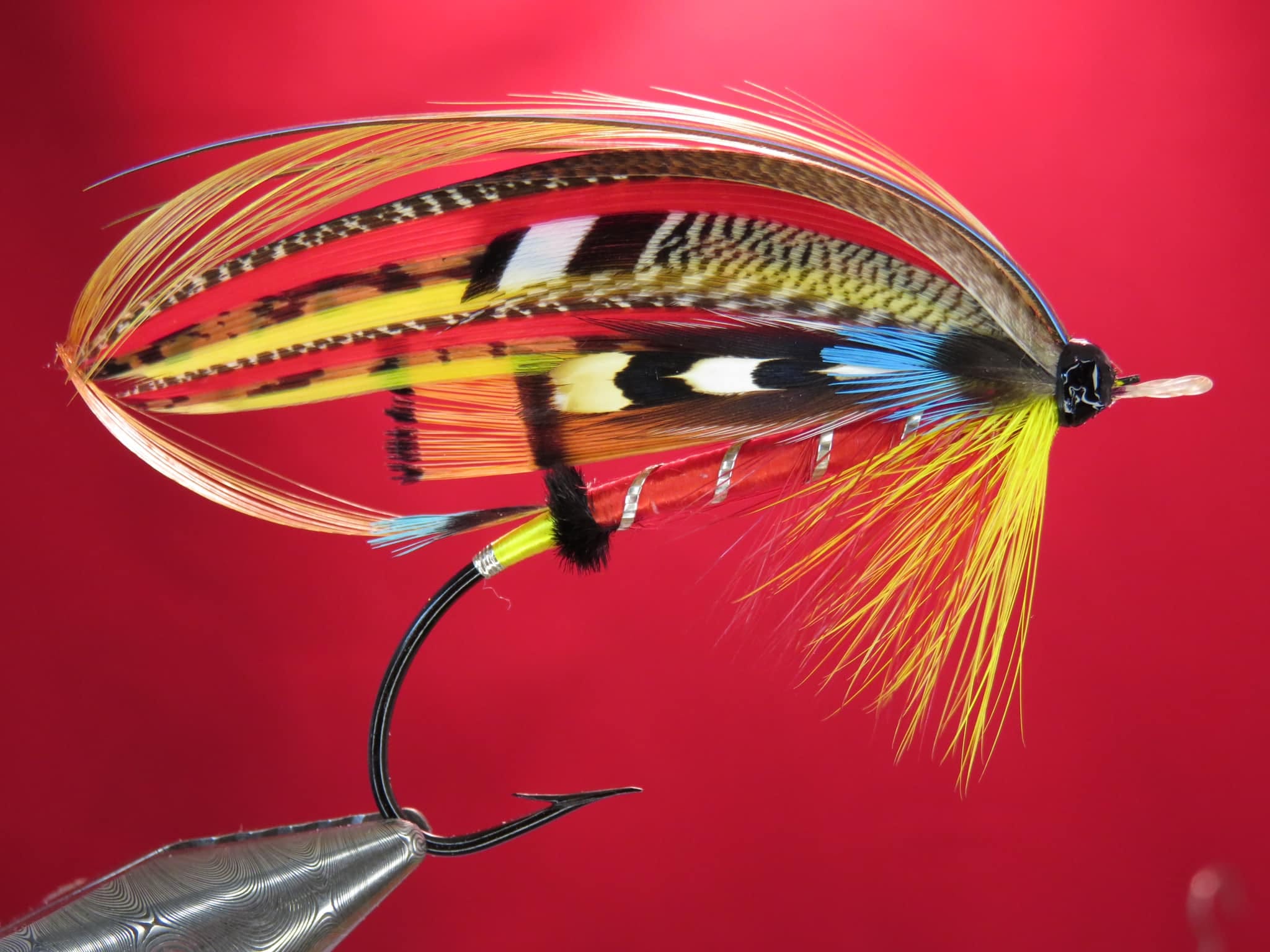 Brian Williams - Kate - July 2024