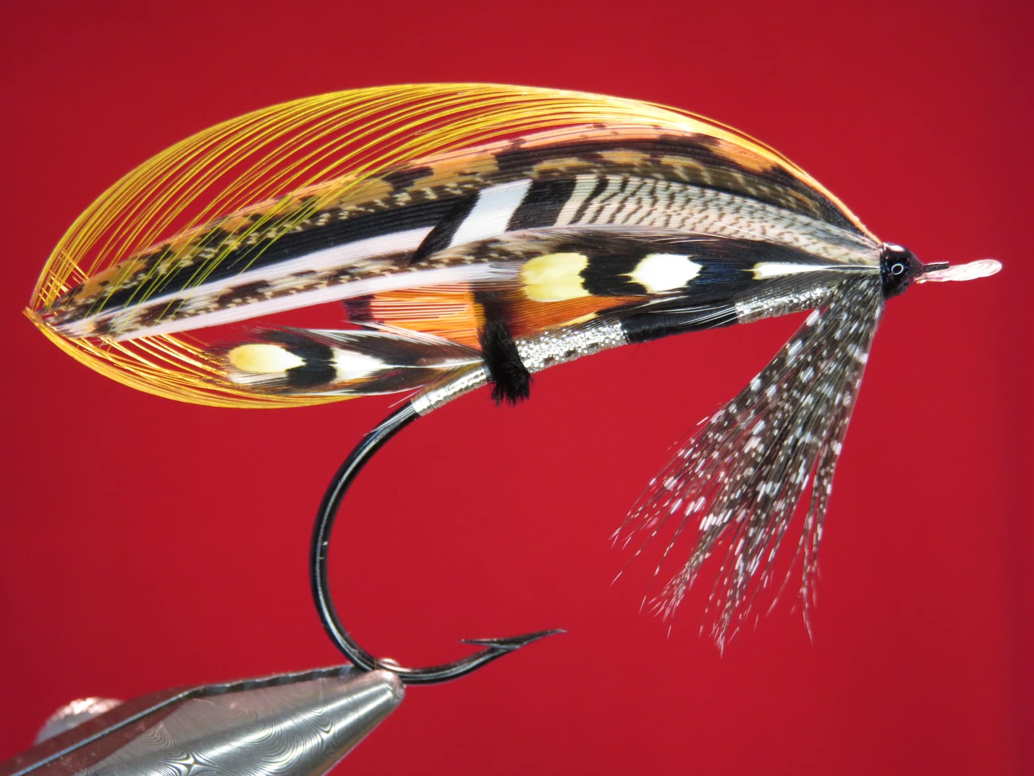 Brian Williams - Mar Lodge - August 2024