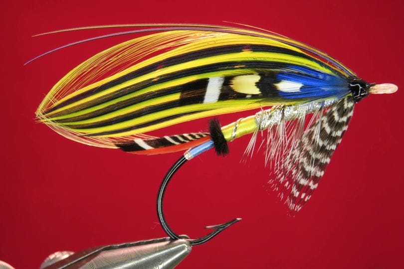 Brian Williams - Ray Mead - May 2024