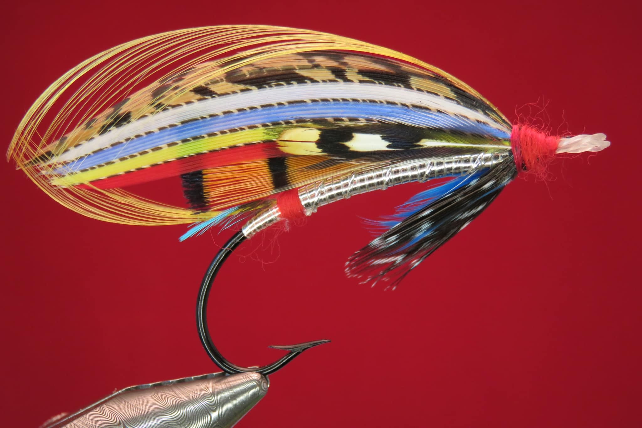 Brian Williams - Silver - May 2024