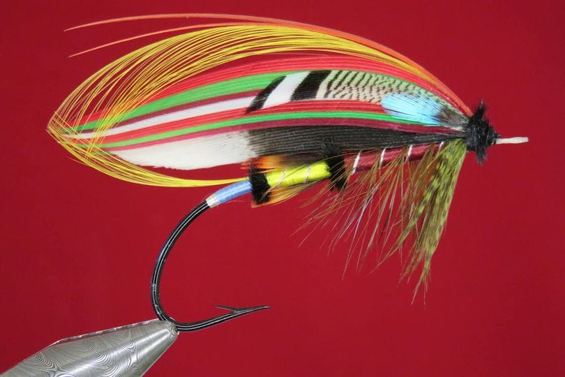 Brian Williams - Trahernes Wonder - March 2024