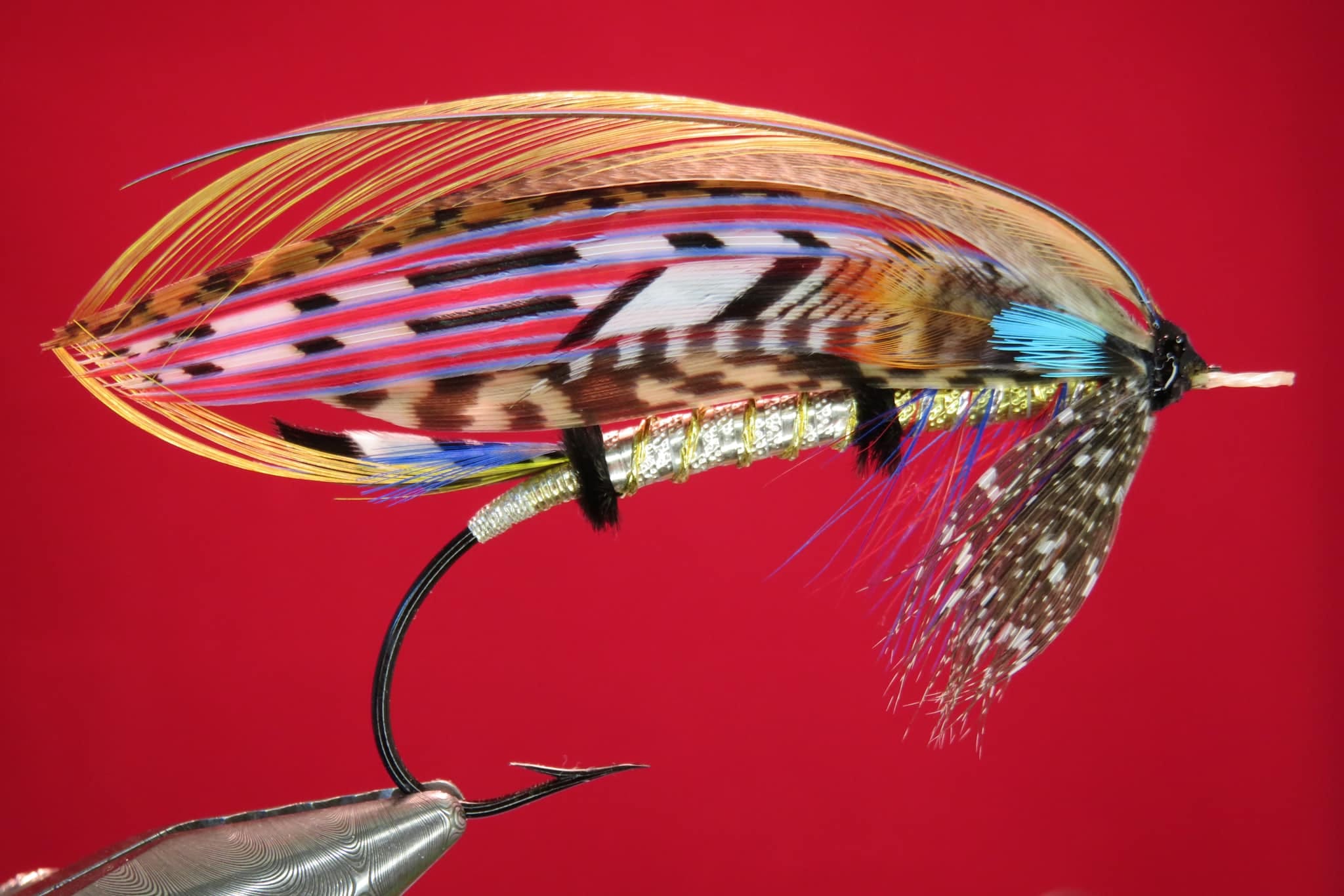 Brian Williams - Una - June 2024