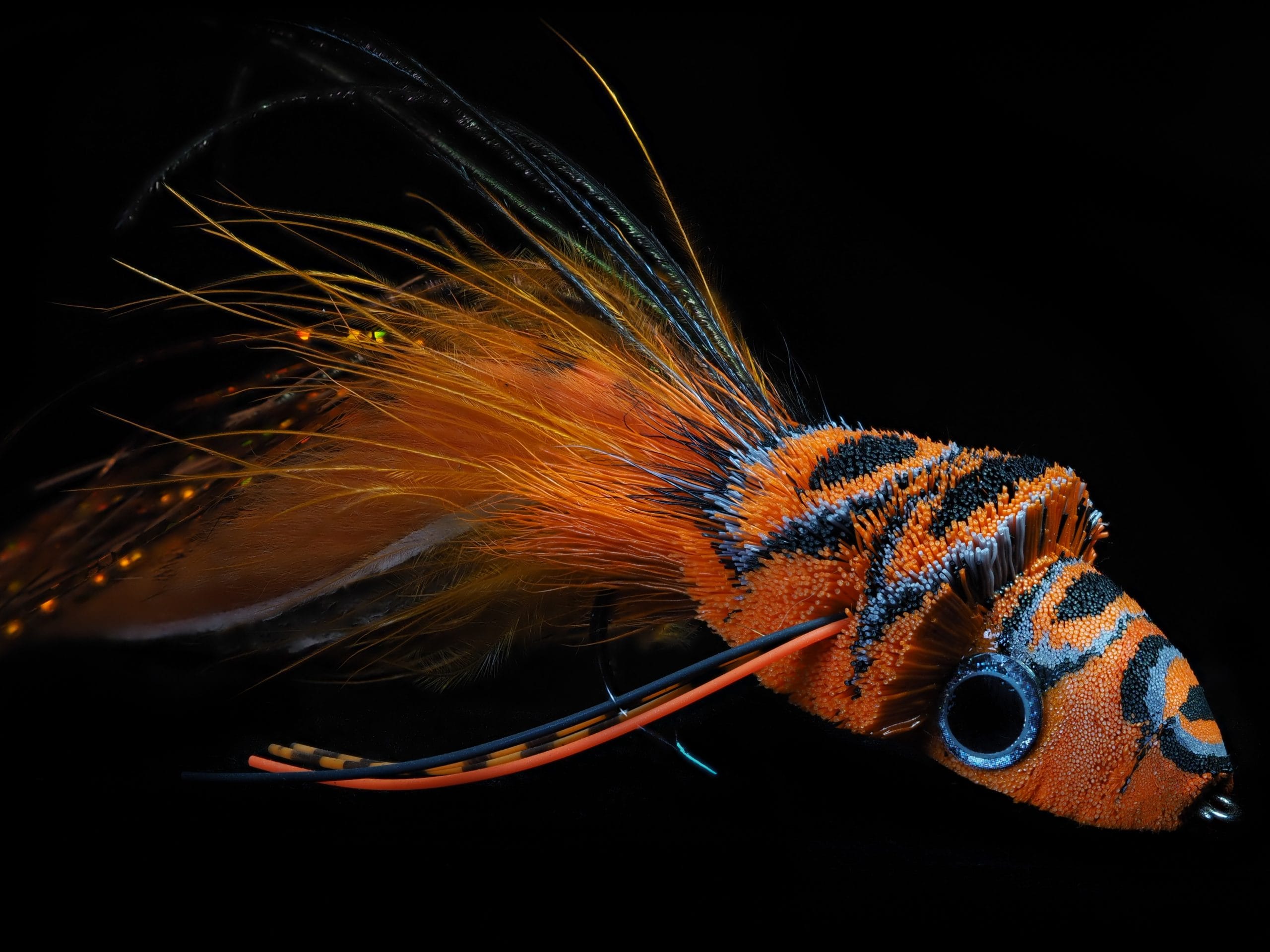 Garrett Lesko - Hair Fly