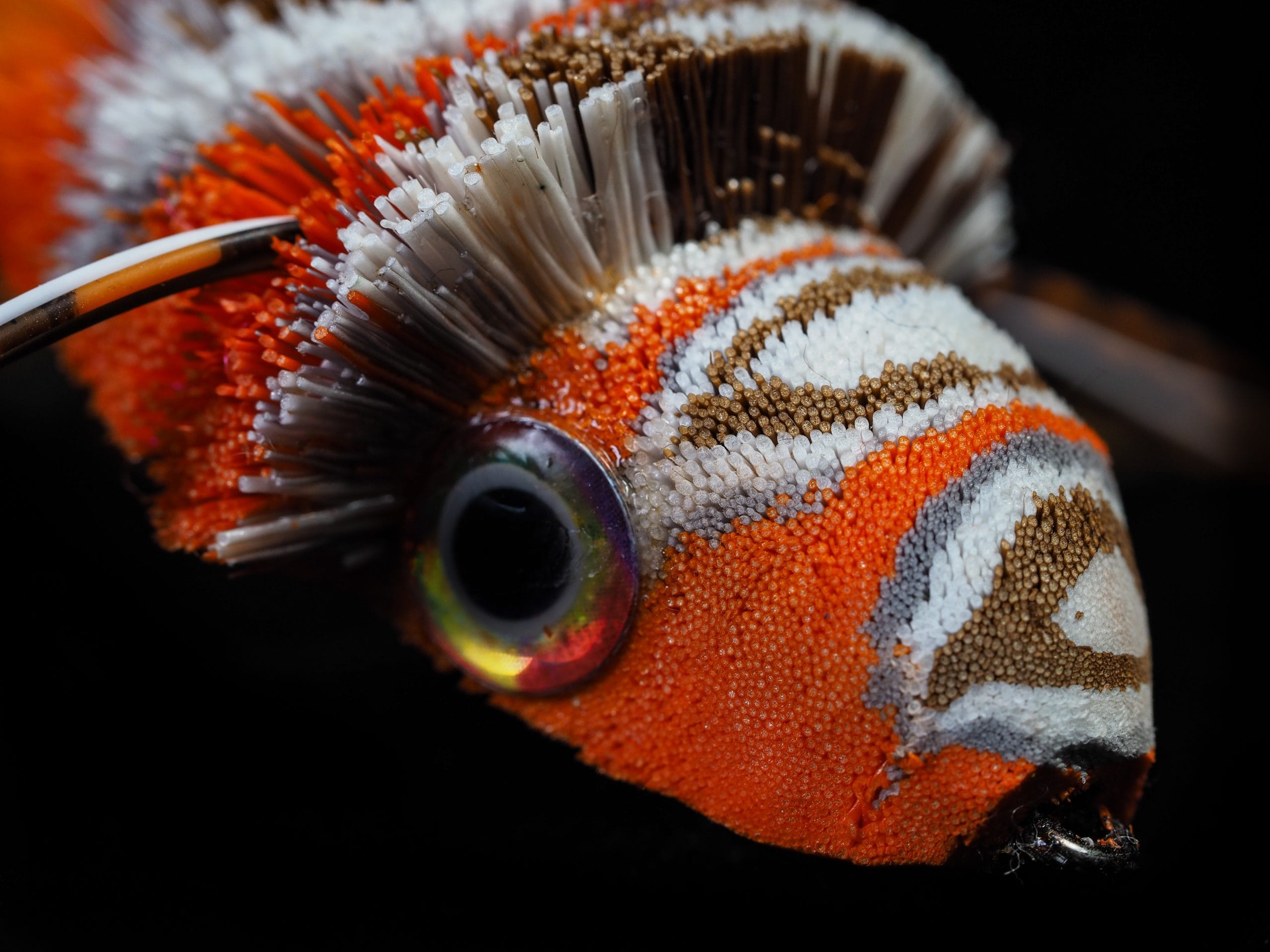 Garrett Lesko - Hair Fly