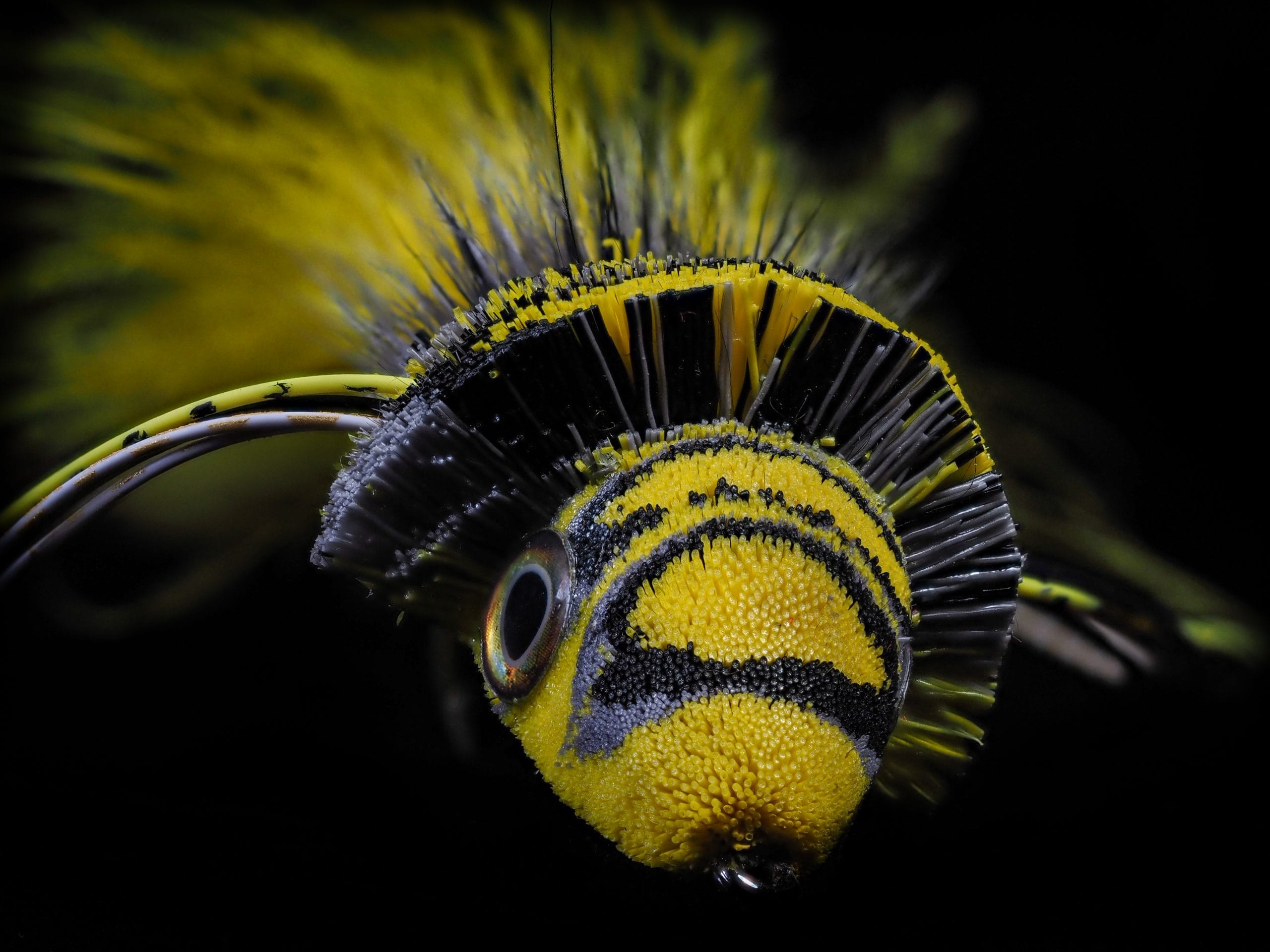 Garrett Lesko - Hair Fly