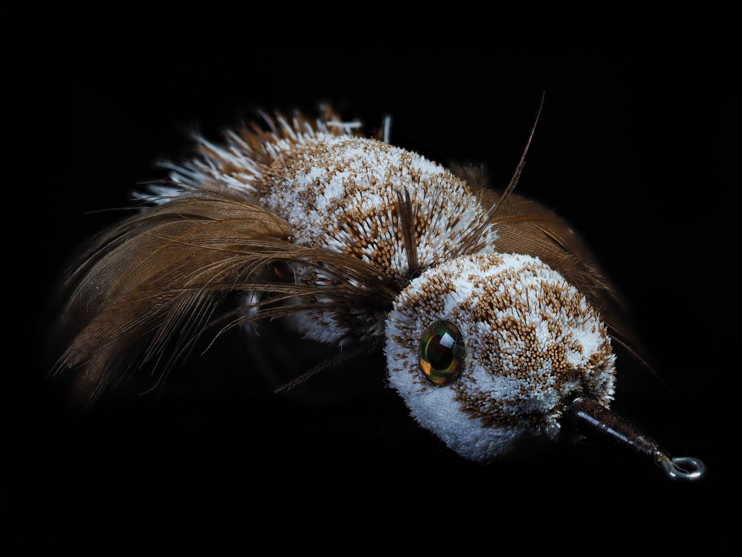 Garrett Lesko - Bird