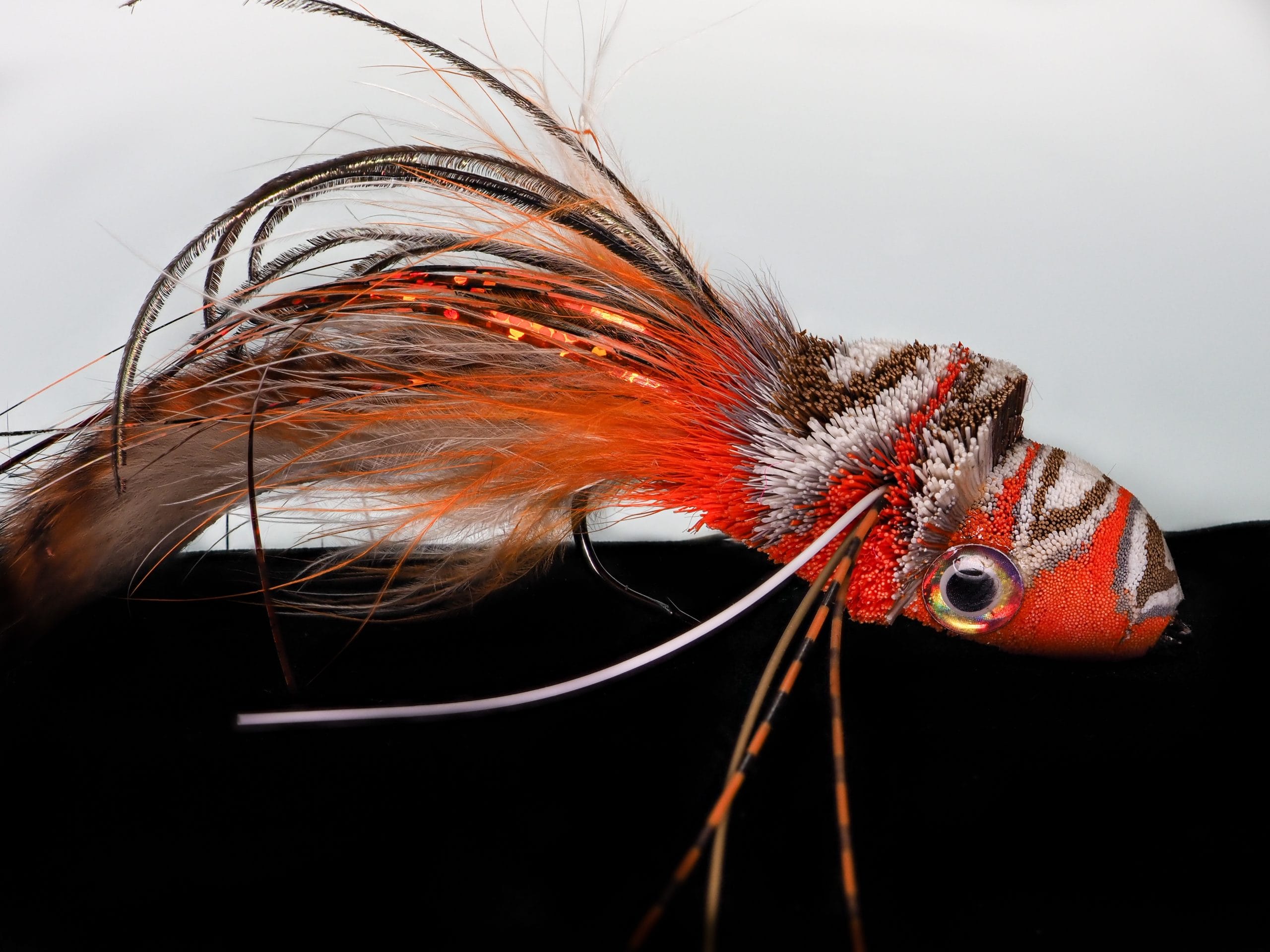 Garrett Lesko - Diver