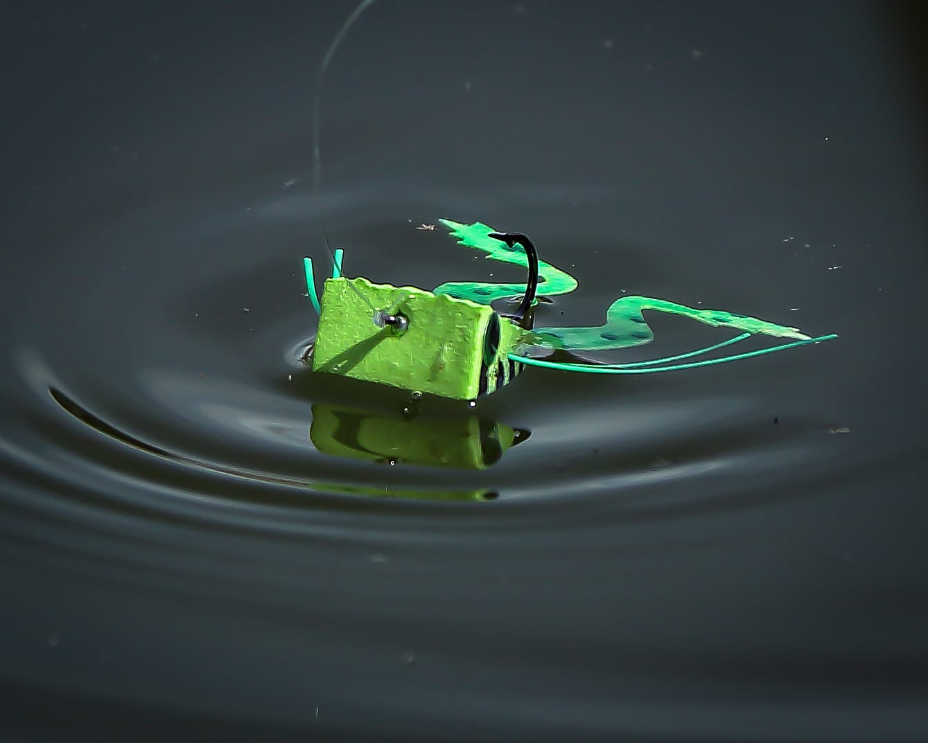 Garrett Lesko - Fly in Water