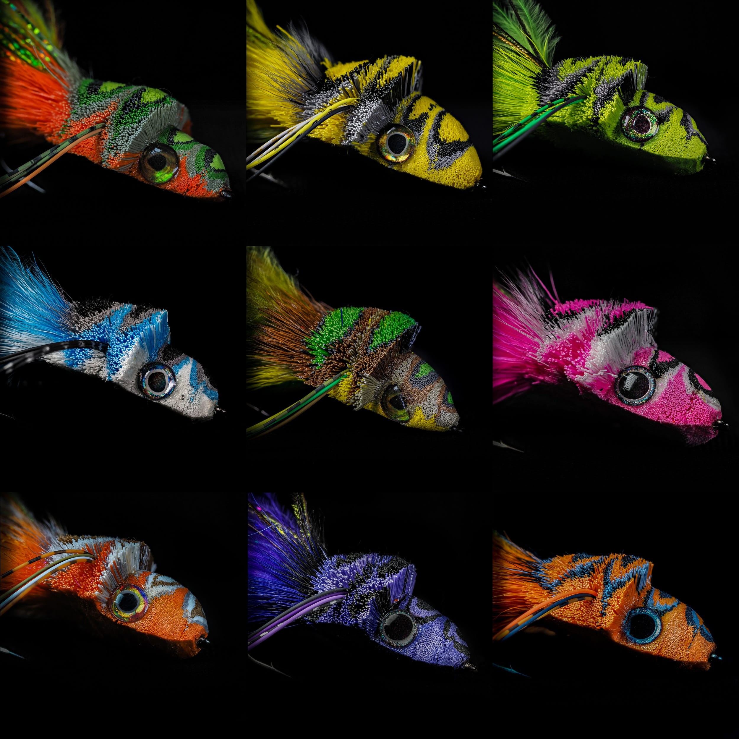 Garrett Lesko - Divers