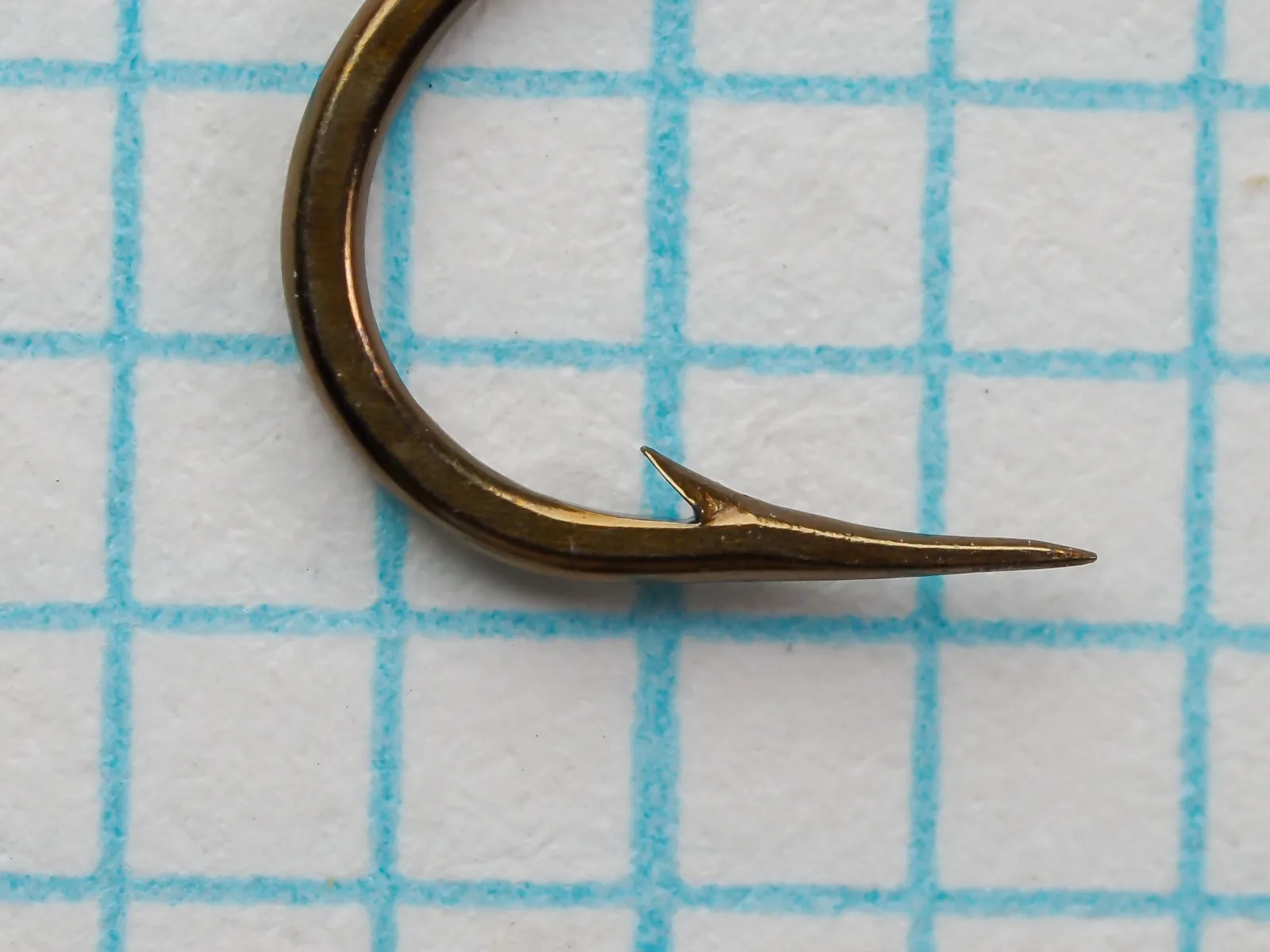 Mustad 94836 Viking Hook — side profile showing point geometry and bend curvature — size 6 — hollow point on measurement grid