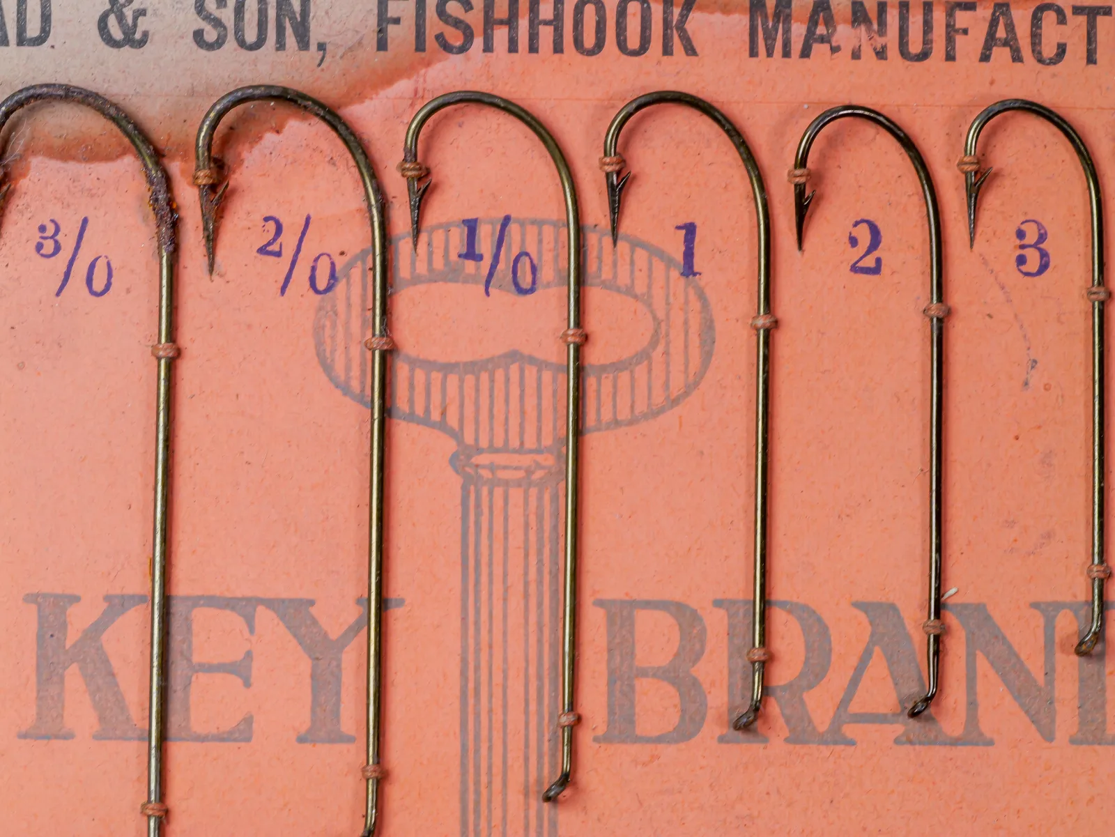 Mustad 3715 Carlisle display card — mounted hooks showing size progression from 6/0 to 3 — complete hook population visible — size 2/0 specimen prominent