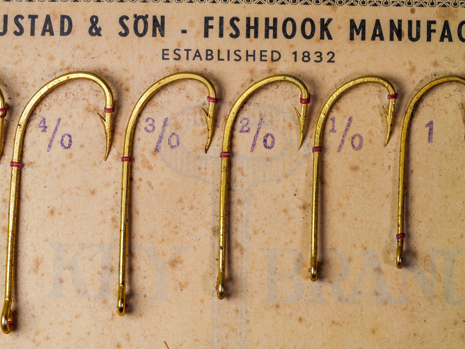 Mustad 92624 Beak Hooks — close-up of five gold-plated hooks on original sales card showing reversed offset bend and ringed eye detail with hand-written size markings in purple pencil