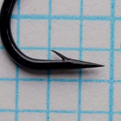 CS2