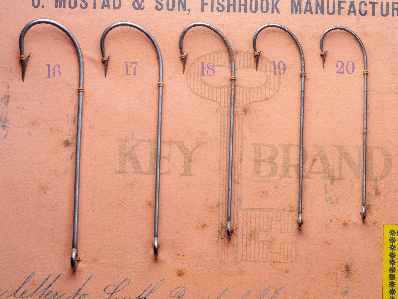 Mustad 3304 Cincinnati Bass Hooks — five specimens sizes 16–20 mounted on measurement grid — bright steel finish with ringed eyes