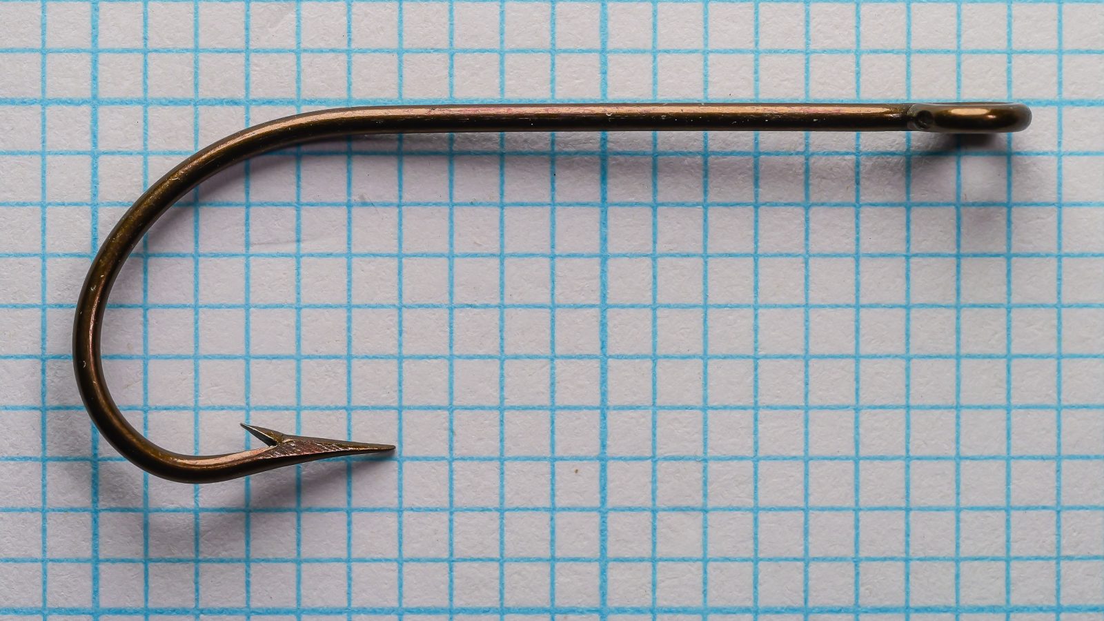 Mustad 3305 Cincinnati Bass Hook — full profile on measurement grid — size 17 — Sproat bend and ringed eye