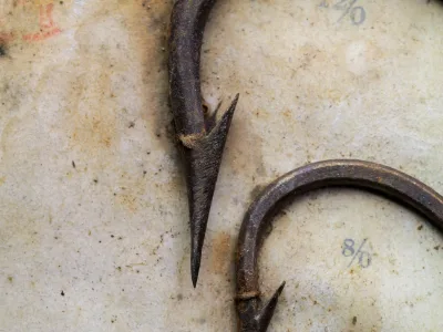 Pflueger O'Shaughnessy — point tip macro view at high magnification showing knife-edge profile and filed concave inner face detail