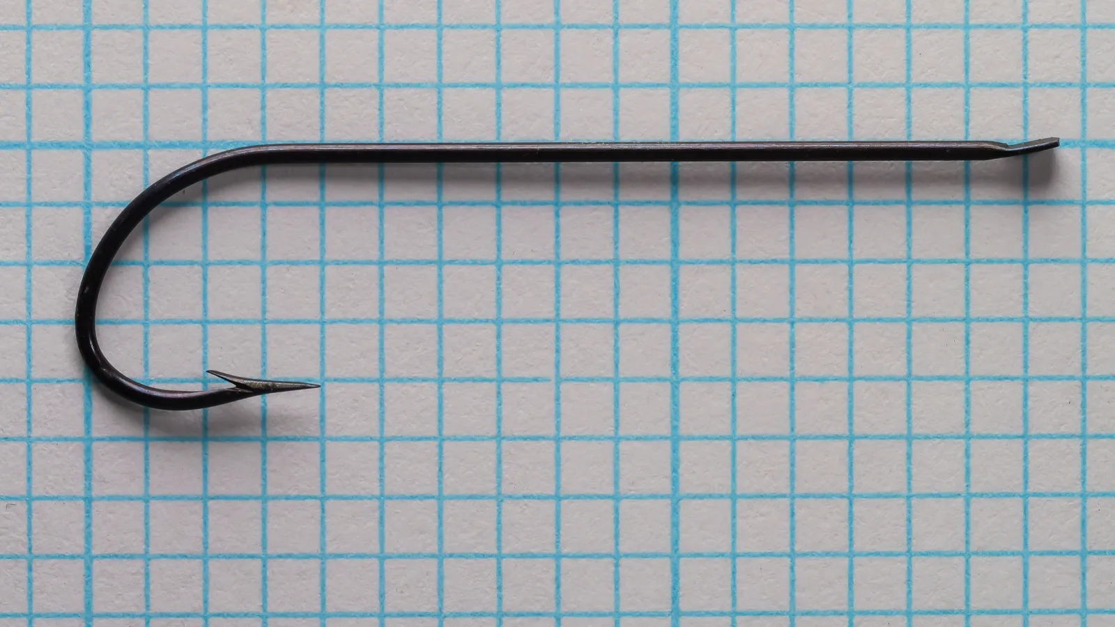 T. H. Bate Carlisle Hook size 2 — full hook profile showing blind-flatted eye and sproat bend — measurement grid background