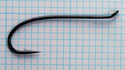 Tiemco TMC 7999 Hook Full Profile Size 2/0 — loop eye to point — showing shank and bend on measurement grid