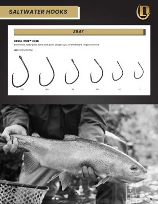 Daiichi 2026 Hook Catalog, p. 1