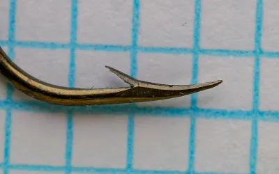 Wright McGill Eagle Claw size 2 — side profile showing bend and eye — bronzed finish