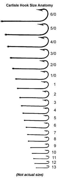 Column of hook outlines from large aught sizes to small numbered sizes