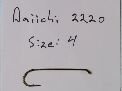 Size 4 hook lying below handwriting on a white card reading 'Daiichi: 2220' and 'Size: 4', with graph paper at the margins.