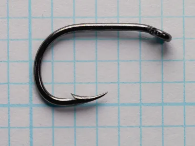 Size 6 B.G. Hook Carp photographed side-on on blue grid paper: eye at right turned down, round bend at left, barbed point curving back toward the shank.