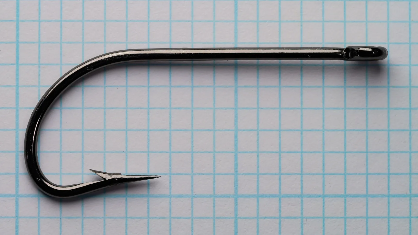 Glossy dark fishhook lying flat on blue graph paper, with the eye at the right end of a straight shank, a round bend at the left, and the point returning toward the eye.