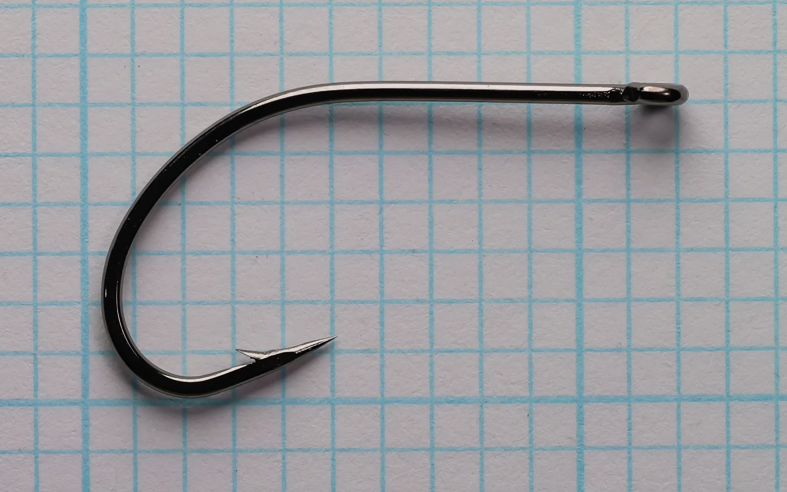 Side view of a dark, glossy fishhook with a straight eye, round bend and barbed point, lying on blue ruled paper.