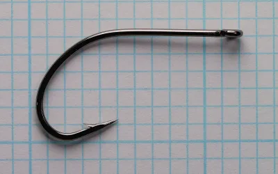 Side view of a dark, glossy fishhook with a straight eye, round bend and barbed point, lying on blue ruled paper.