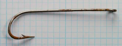 Full side view of a rusted ring-eyed fish hook lying flat on grid paper, with a straight shank and a round bend.